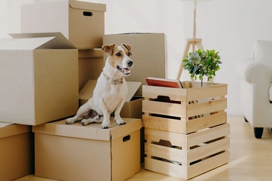 Expert Homerelocation Packers & Movers