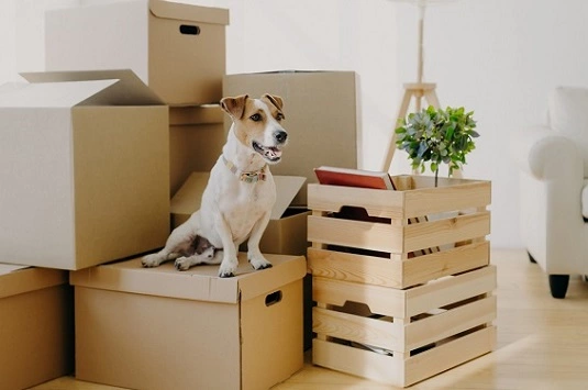 Our Packers and Movers Services in Pune